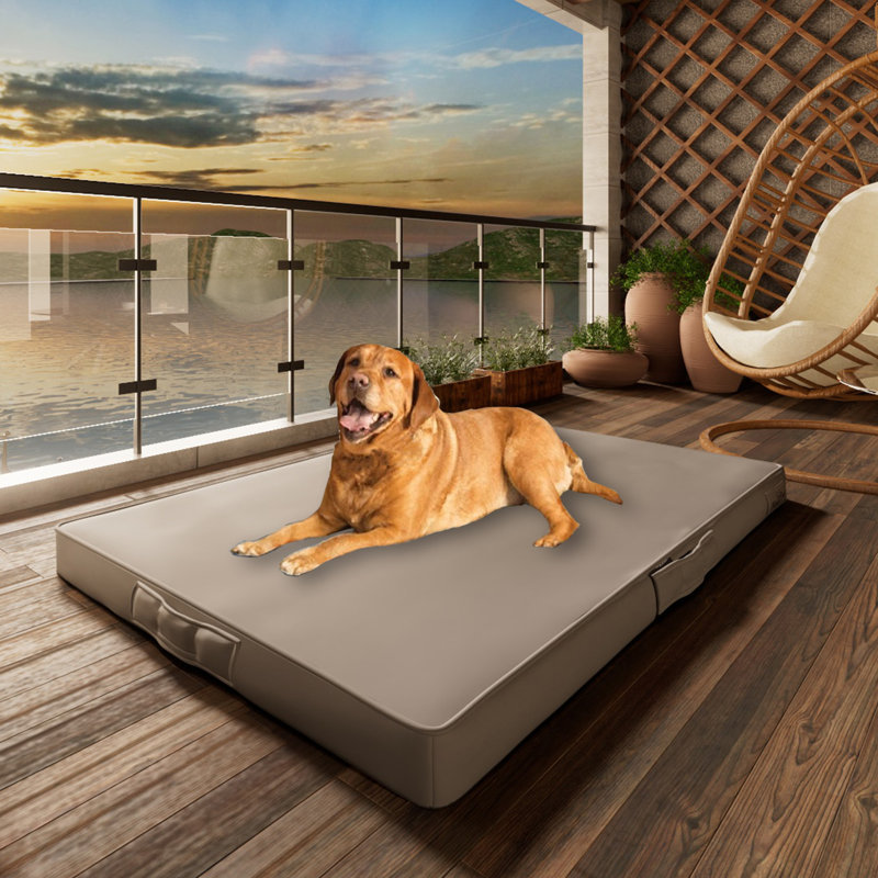 Tucker Murphy Efua Orthopedic Leather Pet Bed